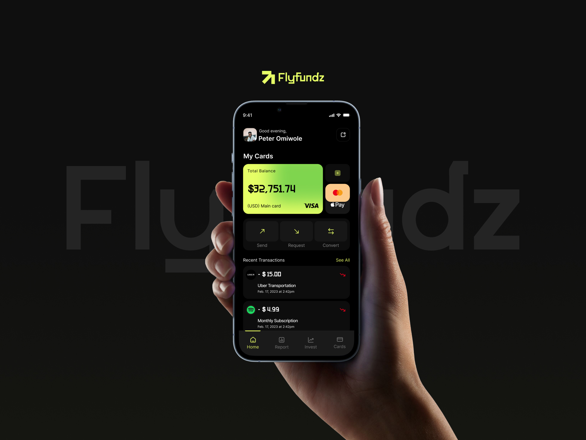 FlyFundz brand identity